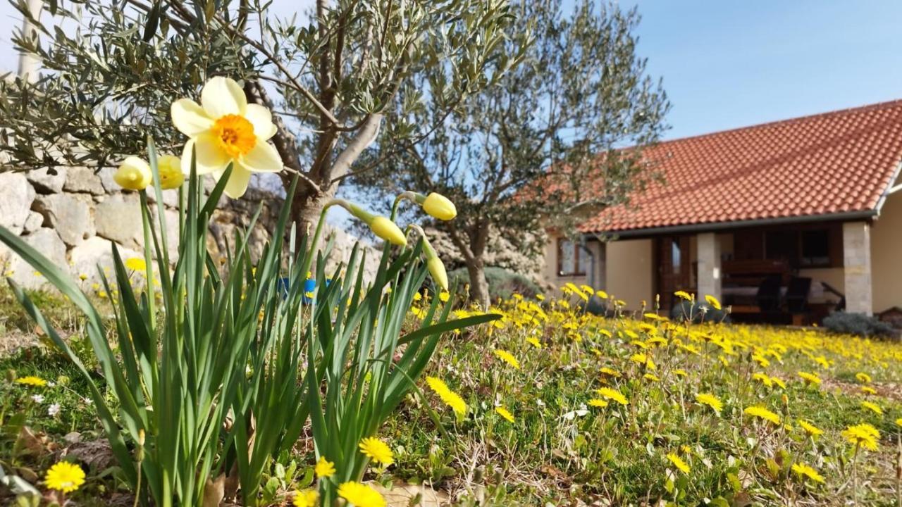 Holiday House Green Dream Obrovac Exterior foto